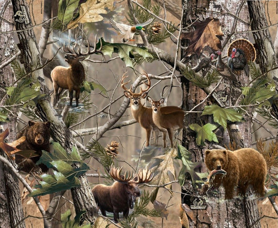 Print Concepts Real Tree Animals In Forest