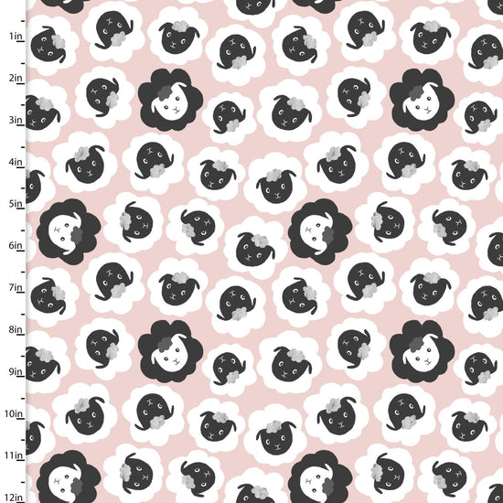 3 Wishes - Little Foot Farm