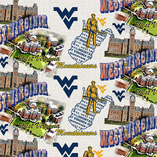 Sykel NCAA Cotton Fabric
