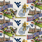 Sykel NCAA Cotton Fabric