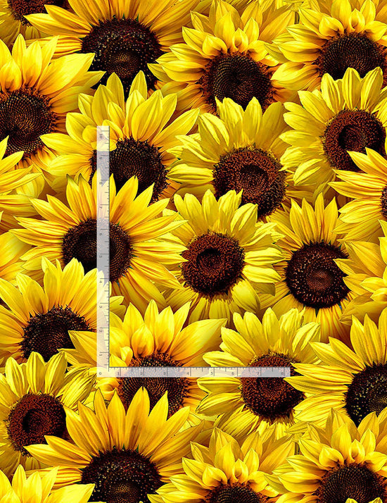 TIMELESS TREASURES FLEUR SUNFLOWERS