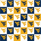 Sykel NCAA Cotton Fabric