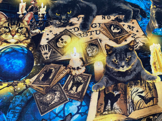 Timeless Treasures Multi Mystical Spooky Black Cats