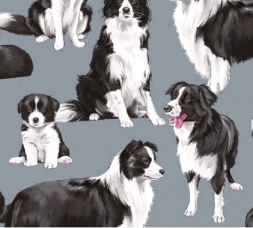 Timeless Treasures Pure Breed Dogs Border Collie