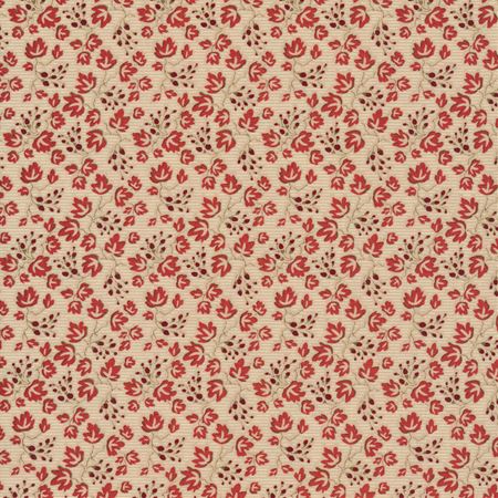 Riley Blake Seeds of Glory