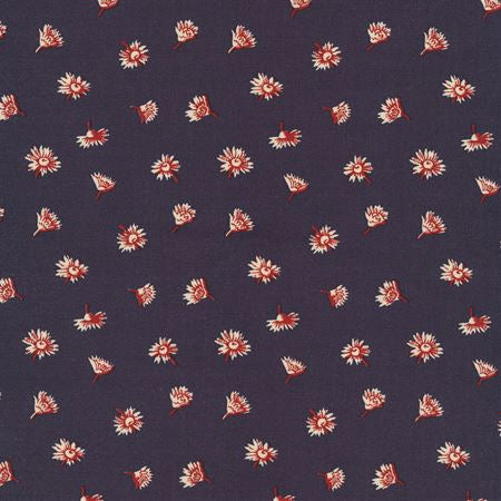 Riley Blake Seeds of Glory