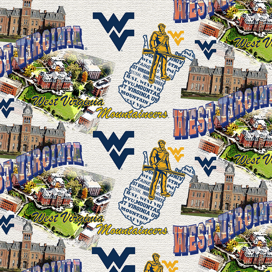 SKYEL FABRICS NCAA WVU (West Virginia University)