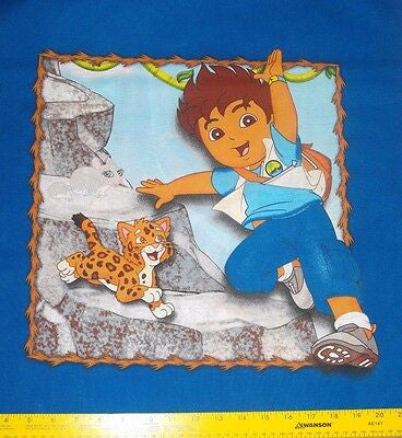 Go Diego Go Get Into Action Pillow Panel