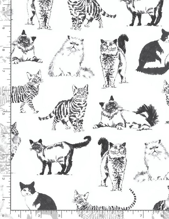 Timeless Treasures white Sketched Realistic  Cats