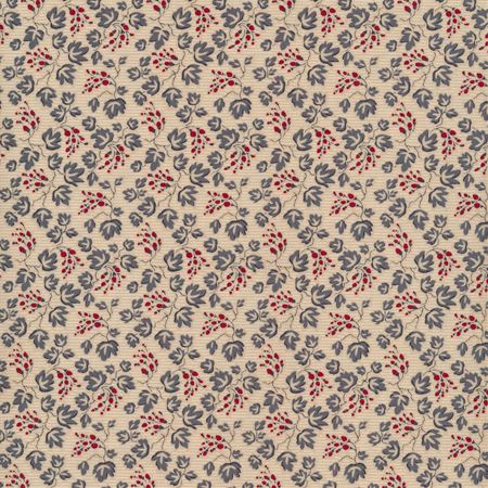 Riley Blake Seeds of Glory