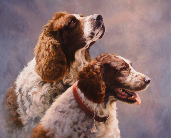 DAVID TEXTILES SPRINGER SPANIELS PANEL AS-0100-2C-1 Multi - Springer Spaniels Panel