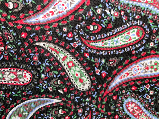 Marshall Dry Goods Perfectly Paisley