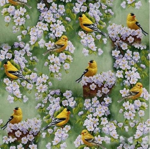 David Textiles GOLD FINCH BLOSSOM ALL OVER