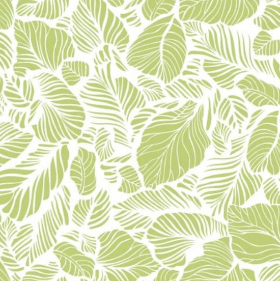 MAYWOOD STUDIO CARNABY STREET COLLECTION