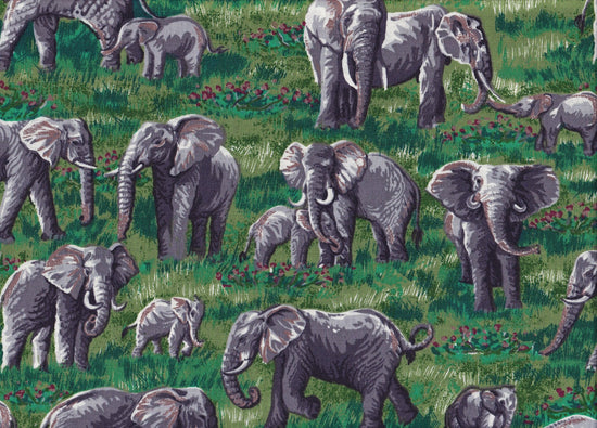 ROBERT KAUFMAN - ELEPHANTS